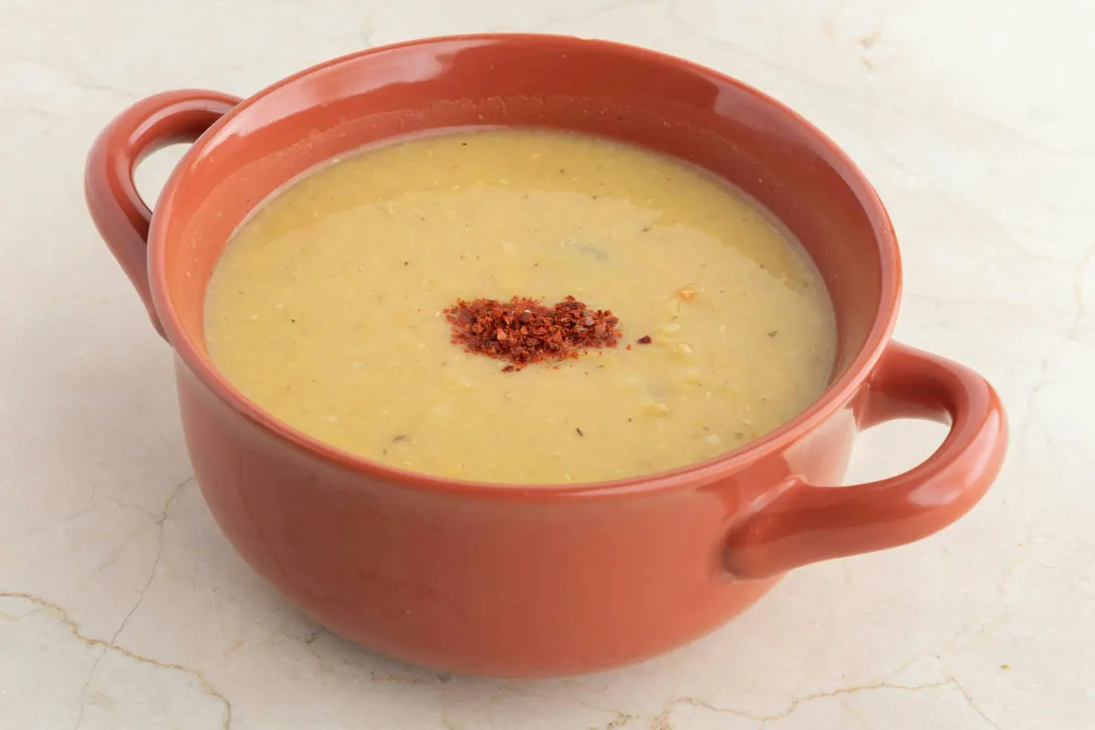 Caldo de huesos para perros y gatos: receta casera, beneficios y cómo usarlo