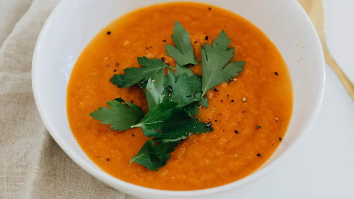 Sopa de Moro para perros y gatos: receta casera, beneficios y cómo prepararla